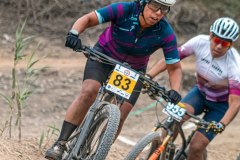 XC-CARDAL-31