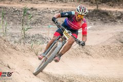 XC-CARDAL-34