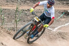 XC-CARDAL-40