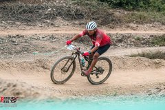 XC-CARDAL-41