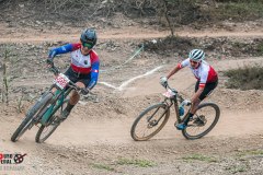 XC-CARDAL-43