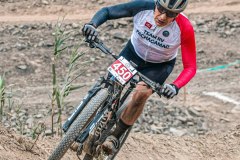 XC-CARDAL-46