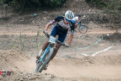 XC-CARDAL-47