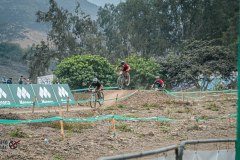 XC-CARDAL-52