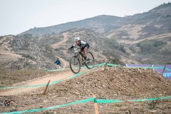 XC-CARDAL-54