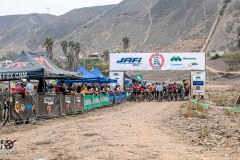 XC-CARDAL-67