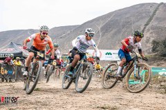 XC-CARDAL-68
