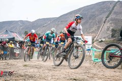 XC-CARDAL-69