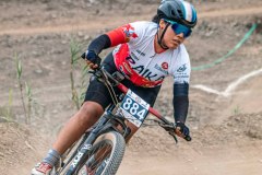 XC-CARDAL-7