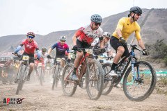 XC-CARDAL-70