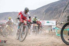 XC-CARDAL-71