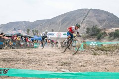 XC-CARDAL-73