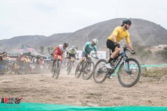 XC-CARDAL-74