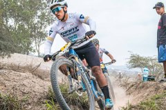 XC-CARDAL-76