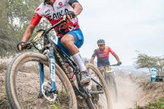 XC-CARDAL-77