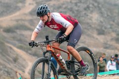 XC-CARDAL-8