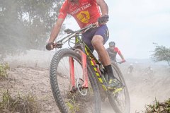 XC-CARDAL-80