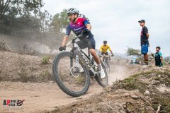 XC-CARDAL-82