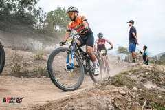 XC-CARDAL-83