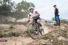 XC-CARDAL-84