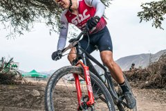 XC-CARDAL-85