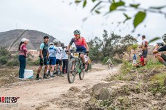 XC-CARDAL-88