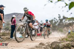 XC-CARDAL-93