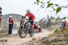 XC-CARDAL-96