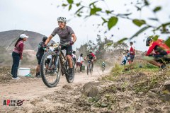 XC-CARDAL-97