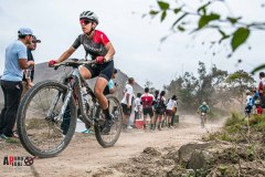 XC-CARDAL-98