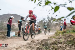 XC-CARDAL-99