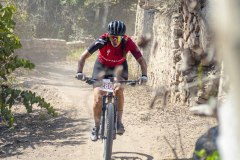 SANTA-CRUZ-2025-141