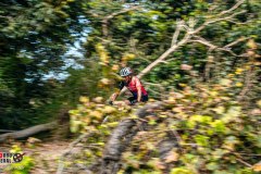 SANTA-CRUZ-DE-FLORES-2026-226