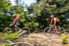 SANTA-CRUZ-DE-FLORES-2026-230