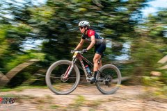 SANTA-CRUZ-DE-FLORES-2026-232