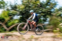 SANTA-CRUZ-DE-FLORES-2026-233