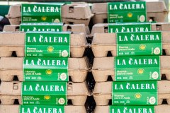 SAN-ANTONIO-2025-166