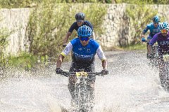 TOTORITAS-2025-DOM-117
