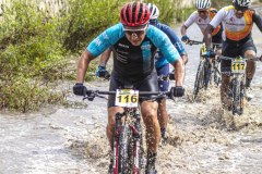 TOTORITAS-2025-DOM-135