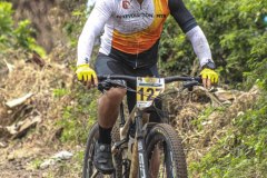 TOTORITAS-2025-DOM-158