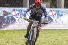 TOTORITAS-2025-DOM-254
