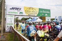 TOTORITAS-2025-DOM-70