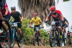 TOTRITAS-2026-DOMINGO-12