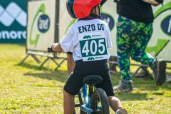 MG_3479