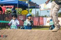 MG_3483