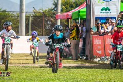 MG_3724